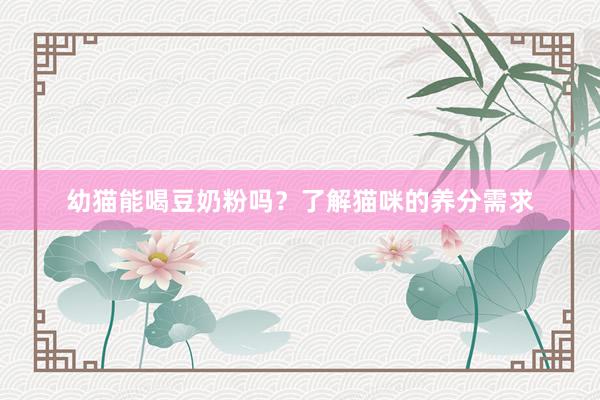 幼猫能喝豆奶粉吗？了解猫咪的养分需求